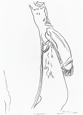 1981_1990\1981.1781.a.jpg; 1981.1781; ;